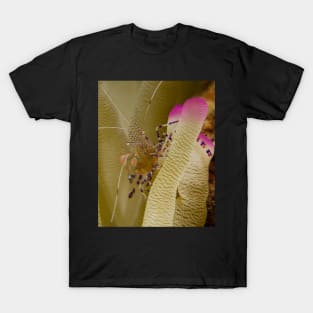 Dancing on An Anemone T-Shirt